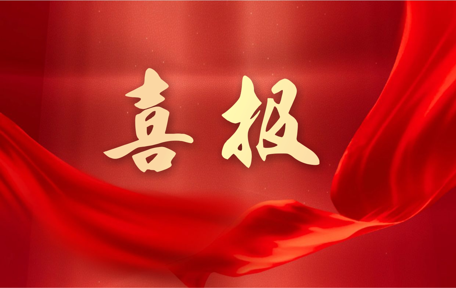 營收凈利雙增長！依頓電子2025年一季度經(jīng)營業(yè)績續(xù)寫高質(zhì)量發(fā)展華章